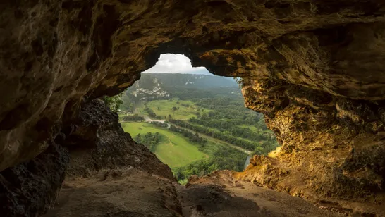 La route de Taína nous laisse apprécier des sites cérémoniels, des tombes et des caves couvertes ...