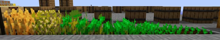 Short Golden Wheat | Bedrock Port Minecraft Texture Pack