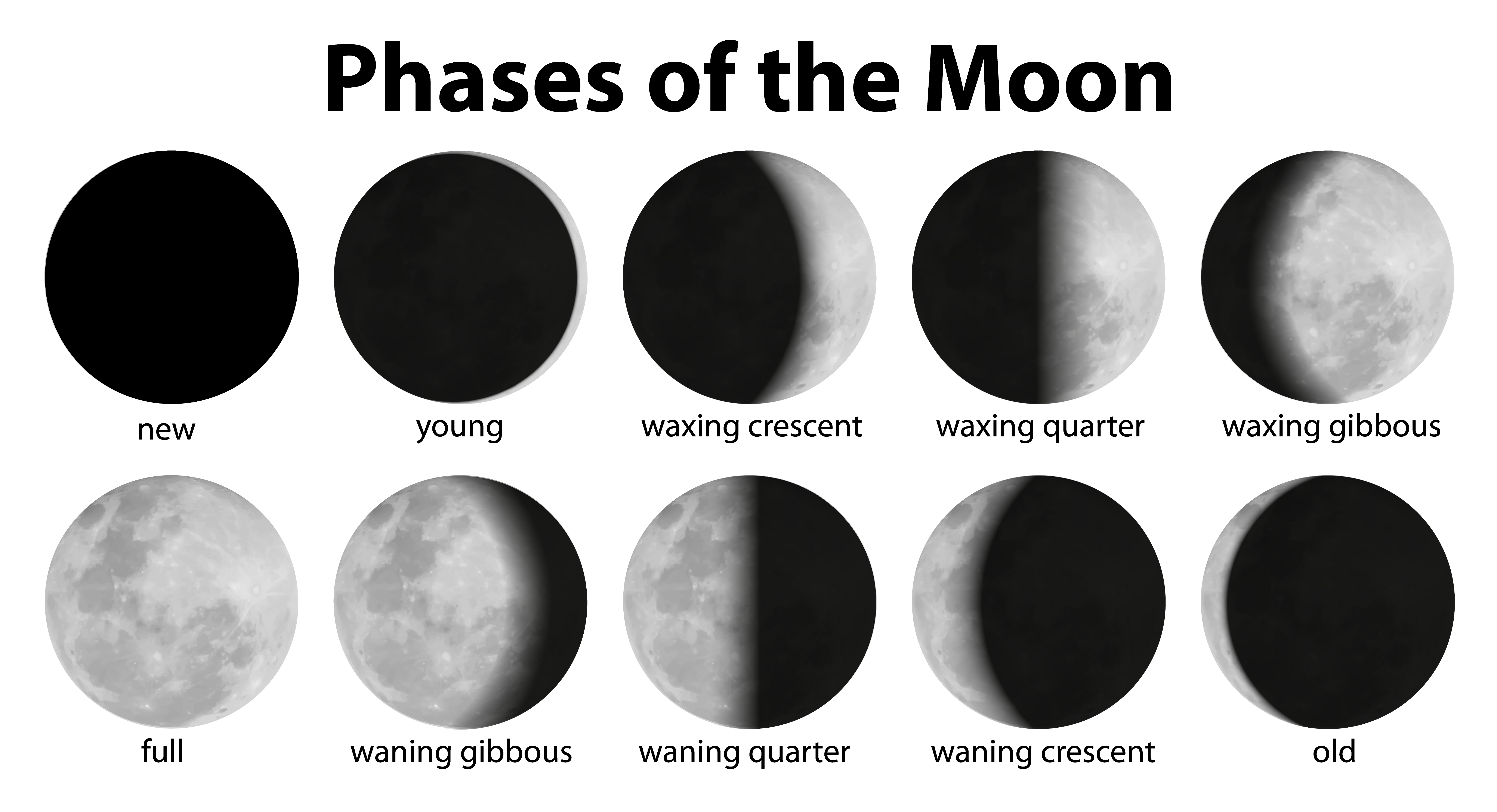 Printable Phases Of The Moon