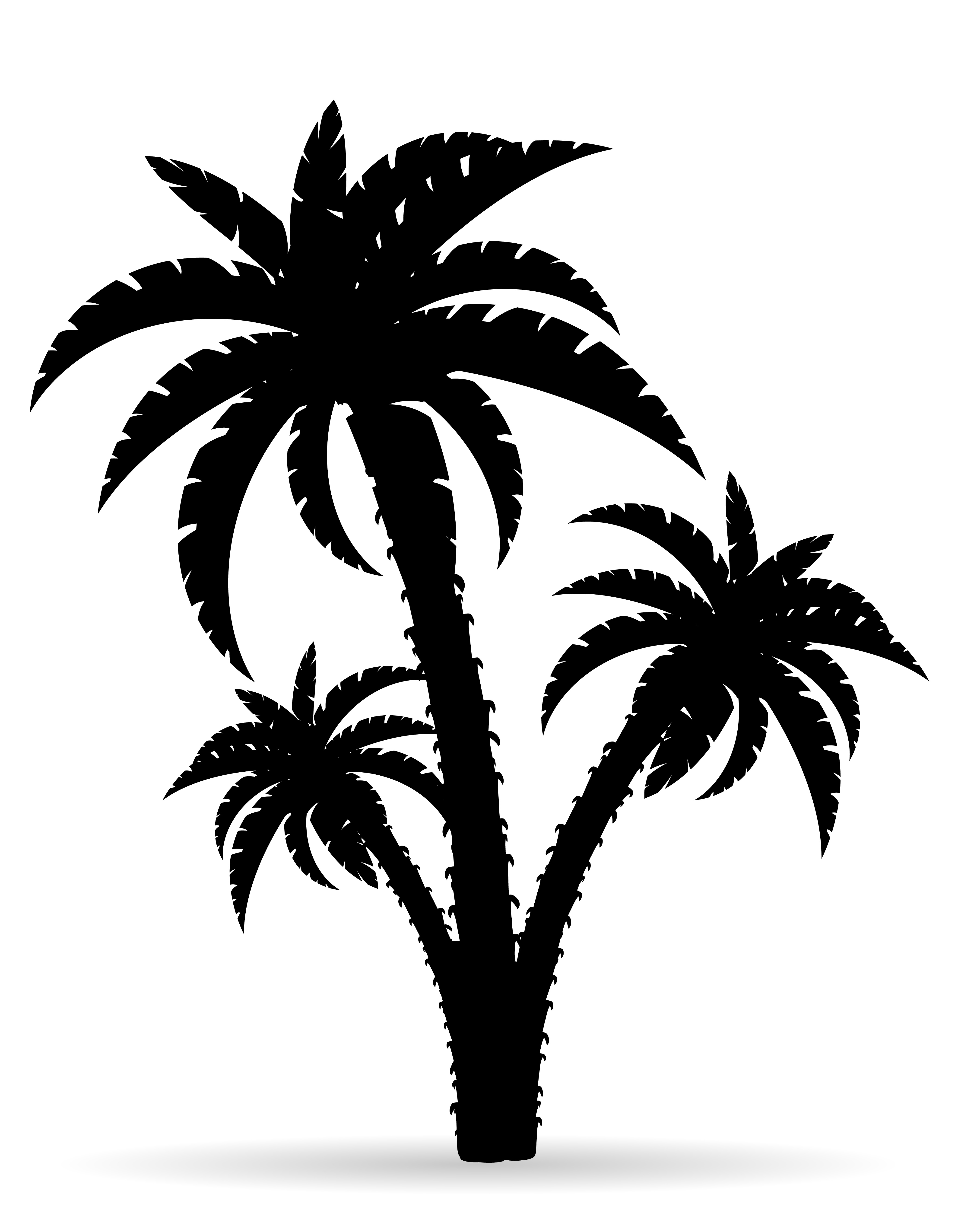 Palm Tree Outline Svg : Free Svg Summertime Sublimation Palm File For ...