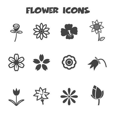 flower icons symbol vector