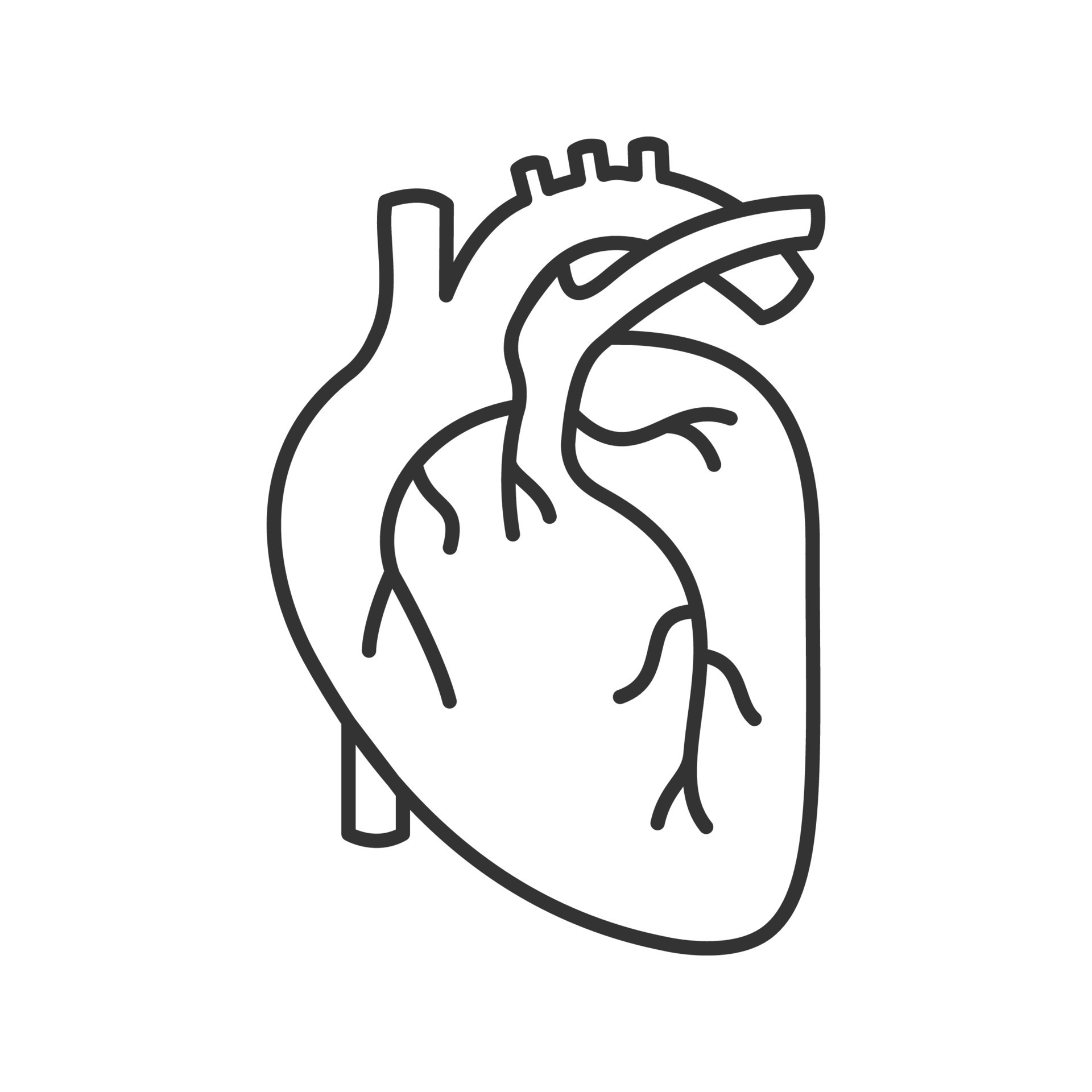 Human heart anatomy linear icon. Thin line illustration. Contour symbol ...