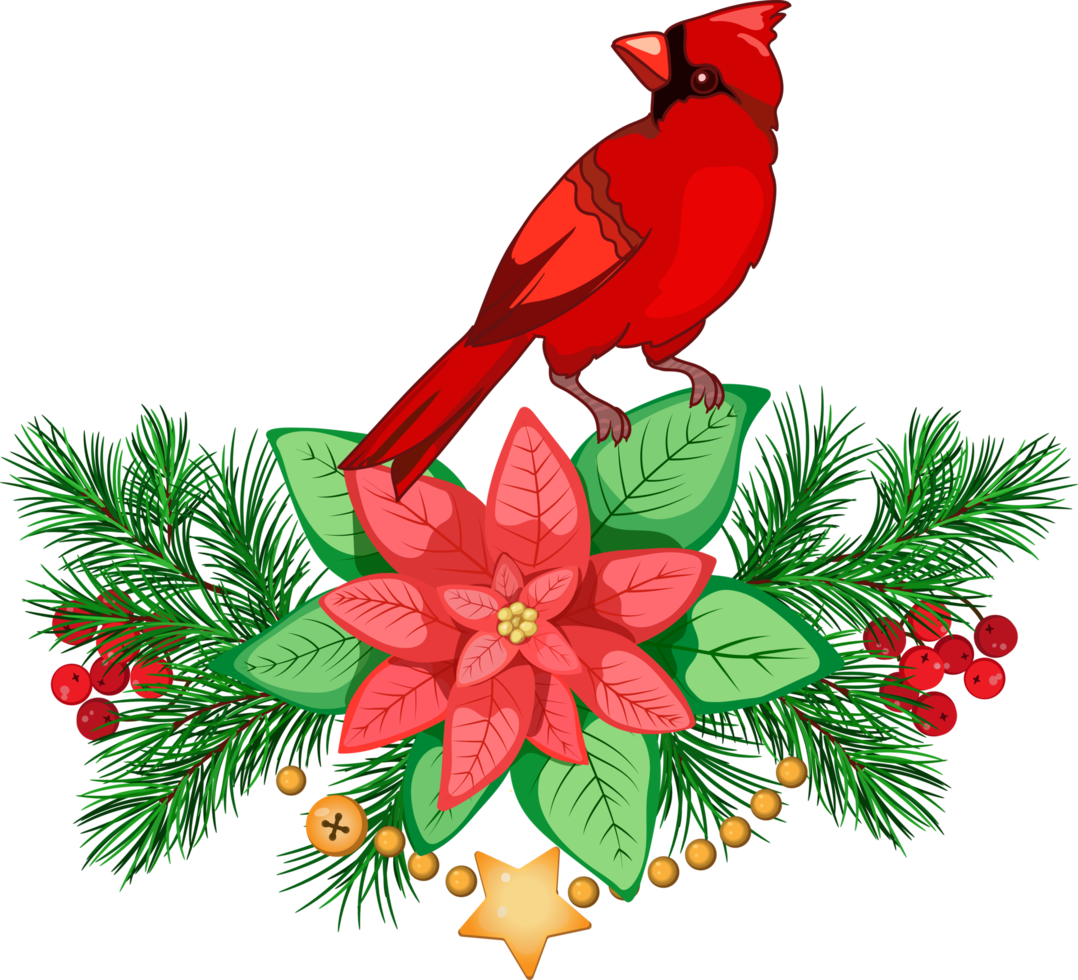 Christmas arrangement with cardinal bird, fir branches, poinsettia, christmas ball, garlands and bells. Merry Christmas Clip Art. Winter decor. png