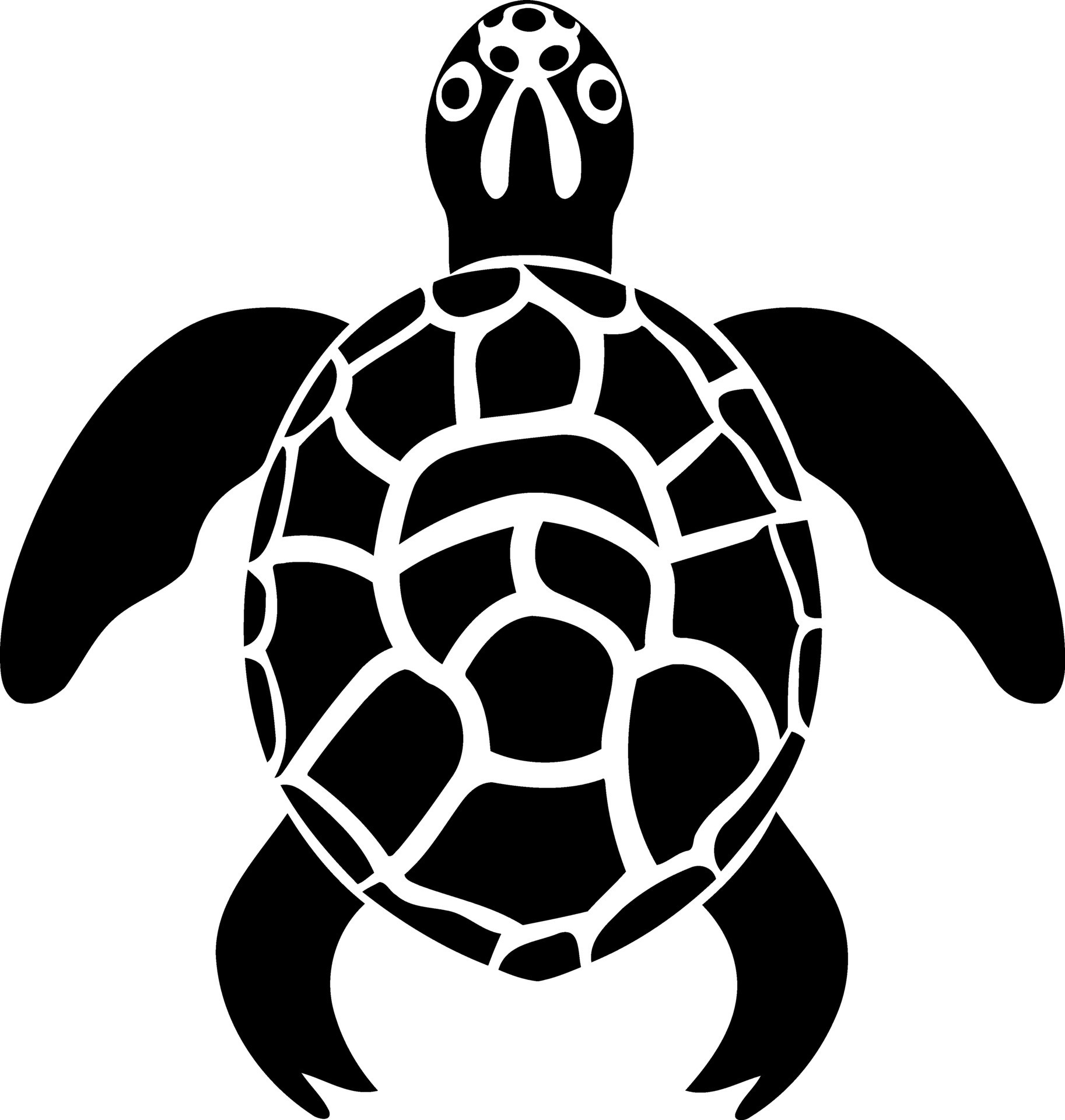 animal reptile turtle black and white 28210723 Vector Art at Vecteezy