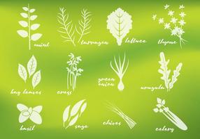 Fresh Greens Vectors