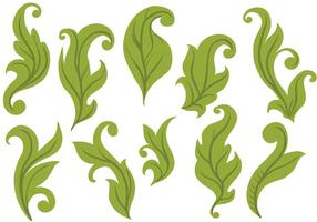 Free Leaves Vectors