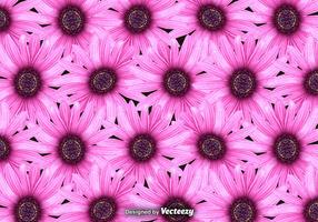 Vector Pink Flowers Background