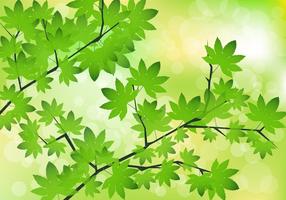 Green Maple Leaves Vector