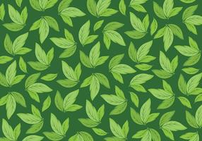 Free Background Daun Vector