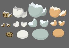 Blank Eggshell Vector Set