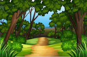 A nature road landscape vector