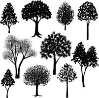 hand drawn trees silhouettes	 vector