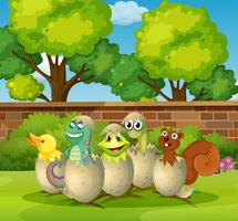 Animals in eggshells in the park vector