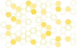 bee hive background  vector