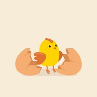  little chick and eggshell  vector