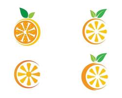 Round Orange Logo Set  vector