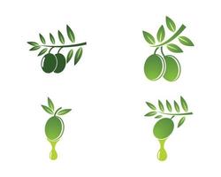 Olive Oil Branch Logos vector