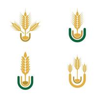 Wheat logo image set  vector