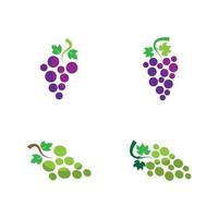 Grape logo images vector