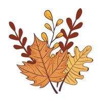 autumn season leafs and branches plant nature vector