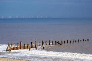 Groynes on the shore at Spurn Point, East Yorkshire, England photo