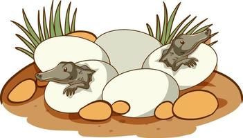 Alligators hatching from eggs vector