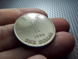 Hong Nong Dollar coin photo