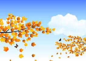 Autumn leaves against a background of blue sky vector