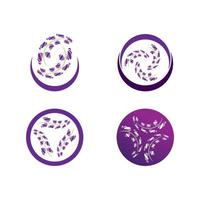 Fresh Lavender flower logo vector