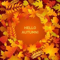 Hello autumn banner circle frame with fall leaves. Leaf from tree of maple, oak, birch. Yellow, orange, red foliage. Template for thanksgiving, 1 september sales design. vector