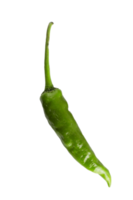 green chili pepper png