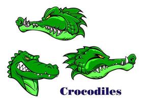 Cartoon crocodile and alligators characters vector