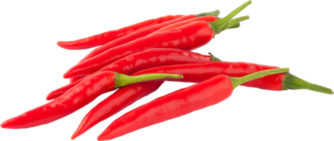 isolated red chilli on transparent background. png