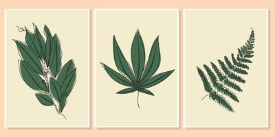 a set of wall art flower leaf and fruit vector