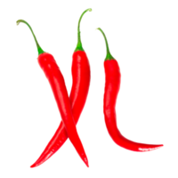 Red peppers isolated png