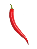 red hot chili pepper isolated on png