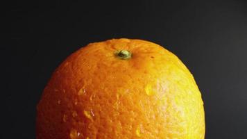 Drops of water fall on an orange close up on a black background. Wet and wet whole orange. fruits for diet and healthy eating. Citrus fruits, side rain, tropical fruits. video