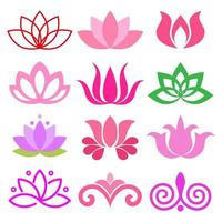 Illustration set of varied lotus flowers vector