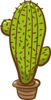 Cactus png graphic clipart design