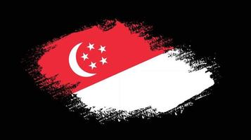 Hand paint Singapore grunge flag vector