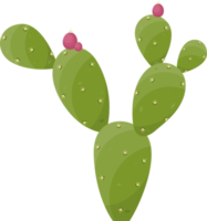 Cartoon desert cactus plant png