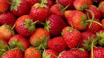 Fruit, strawberry ripe, strawberries fruits background video