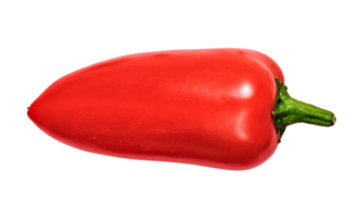 Red pepper isolated on a transparent background png