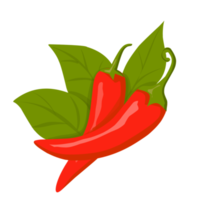 Red chilli pepper png