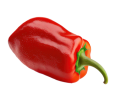 Red Chilly Pepper Isolated png