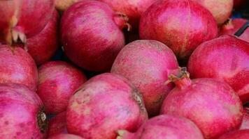 Shopping fruit in greengrocer video