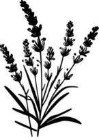 Lavender - Black and White Isolated Icon - Vector illustration