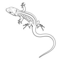 Lizard. Vector clipart.