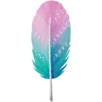 Feather Clip art Element Transparent Background png