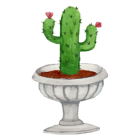 Cactus In Pot Clip art Element Transparent Background png